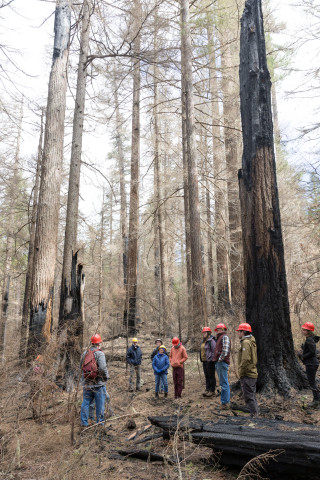 April 2024 field trip to HJA after Lookout Fire