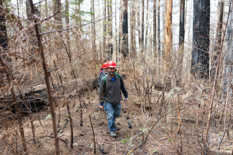 April 2024 field trip to HJA after Lookout Fire