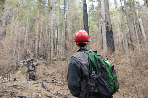 April 2024 field trip to HJA after Lookout Fire
