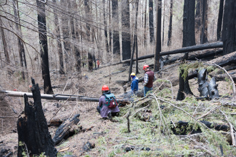 April 2024 field trip to HJA after Lookout Fire