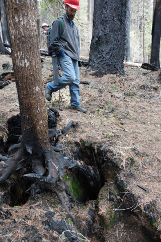 April 2024 field trip to HJA after Lookout Fire