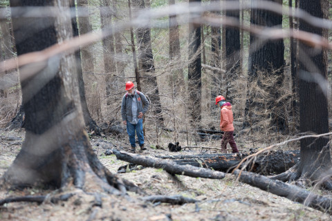April 2024 field trip to HJA after Lookout Fire