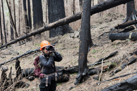 April 2024 field trip to HJA after Lookout Fire