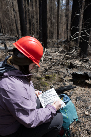 April 2024 field trip to HJA after Lookout Fire