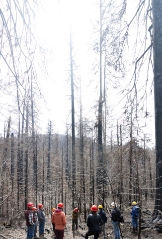 April 2024 field trip to HJA after Lookout Fire