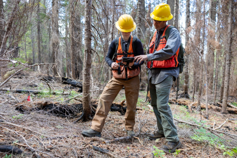 Fire History Project 2026