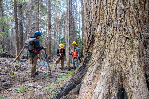 Fire History Project 2026