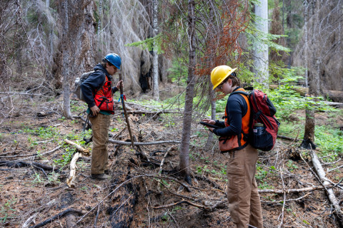 Fire History Project 2026