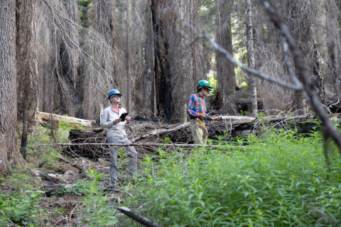Fire History Project 2026