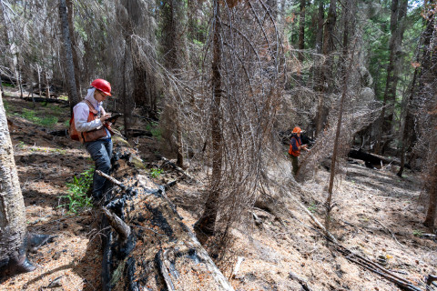 Fire History Project 2026