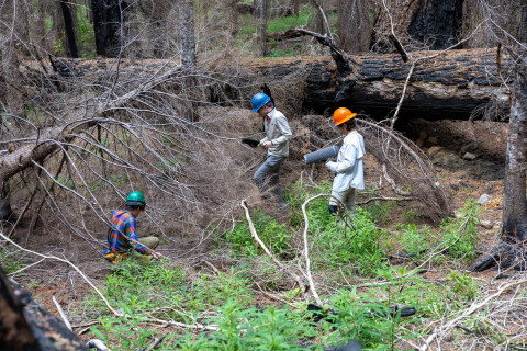 Fire History Project 2026