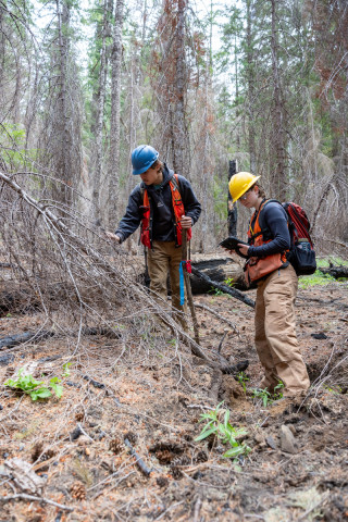 Fire History Project 2026