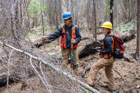Fire History Project 2026