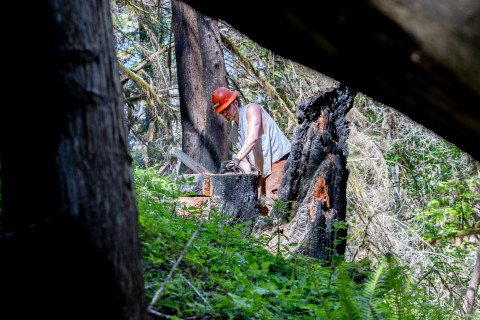 Fire History Project 2026