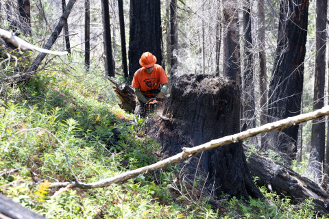 Fire History Project 2026