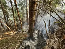 Lookout Fire 2023