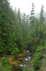 Lookout Creek OG000