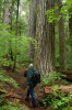 Mack Creek OG trail000