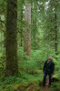 Mack Creek OG trail004