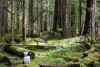 Log decomp site004