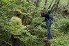 Phenology Pulse Field Day June 2011