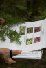 Phenology Pulse Field Day June 2011