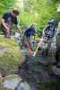 sampling fish and salamanders