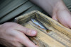 measuring length of fish