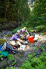 recording length and weights of fish and salamanders