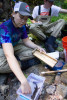 recording length and weights of fish and salamanders