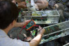 measuring primary productivity in incubation tanks