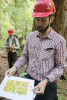 Pacific Northwest Permanent Sample Plot Program, Field work 2018