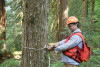 Pacific Northwest Permanent Sample Plot Program, Field work 2018