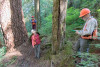 Pacific Northwest Permanent Sample Plot Program, Field work 2018