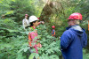 Pacific Northwest Permanent Sample Plot Program, Field work 2018