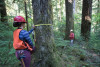 Pacific Northwest Permanent Sample Plot Program, Field work 2018