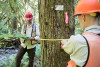 Pacific Northwest Permanent Sample Plot Program, Field work 2018