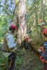 Pacific Northwest Permanent Sample Plot Program, Field work 2018