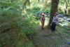 Pacific Northwest Permanent Sample Plot Program, Field work 2018