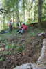 Pacific Northwest Permanent Sample Plot Program, Field work 2018