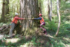 Pacific Northwest Permanent Sample Plot Program, Field work 2018