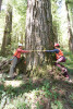 Pacific Northwest Permanent Sample Plot Program, Field work 2018