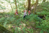 2018 veg PSP crew: David Shaw, PI, OSU; David Bell, Research Forester, Pacific Northwest Research Station; Bryan Sipe, crew member, OSU; Rob Pabst, project coordinator, OSU; Amanda Brackett, crew leader, OSU; Jessie Hild, crew member, OSU