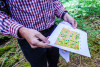 Pacific Northwest Permanent Sample Plot Program, Field work 2018