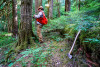 Pacific Northwest Permanent Sample Plot Program, Field work 2018
