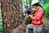 Pacific Northwest Permanent Sample Plot Program, Field work 2018