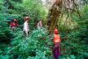 Pacific Northwest Permanent Sample Plot Program, Field work 2018