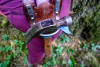 Pacific Northwest Permanent Sample Plot Program, Field work 2018