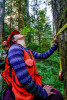 Pacific Northwest Permanent Sample Plot Program, Field work 2018