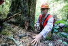 Pacific Northwest Permanent Sample Plot Program, Field work 2018